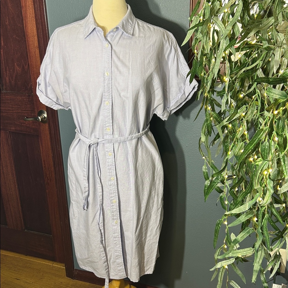 Joe Fresh Light Blue Midi Dress